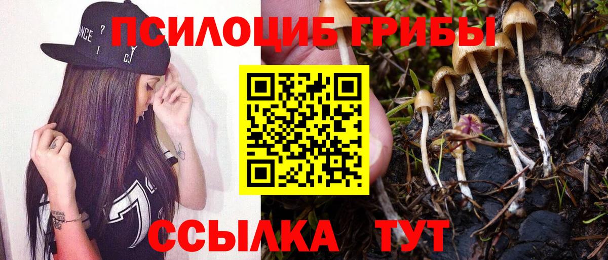 Псилоцибиновые грибы MAGIC MUSHROOMS  Вход с VPN  Псилоцибиновые грибы прущие грибы  Междуреченск 