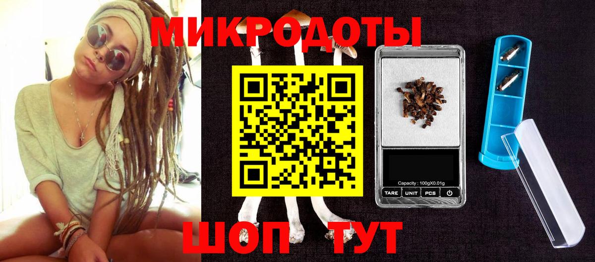 Галлюциногенные грибы Cubensis Междуреченск